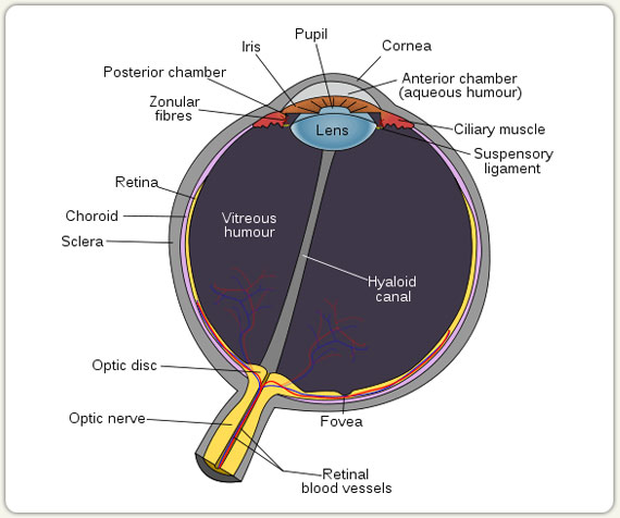 Complications of LASIK